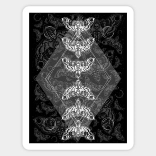 Geometric Night Moths pattern, Gothic Death Moths with Skull Head, Deaths Head Moths, Hawkmoth Sticker